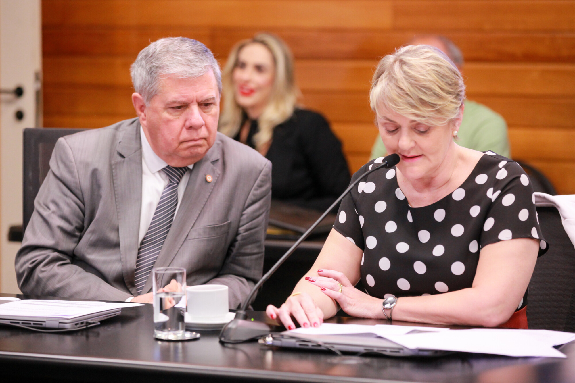 - Deputado Mário Motta (PSD)
 - Deputada Luciane Carminatti (PT)