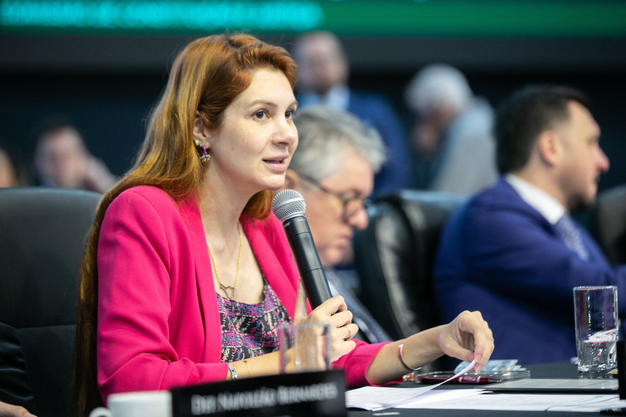 - Deputada Ana Caroline Campagnolo (PL)