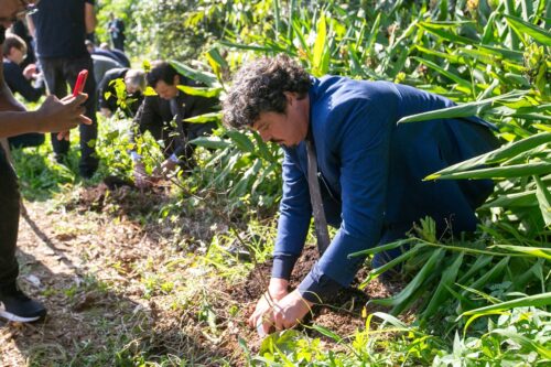 Plantio de árvores será realizado no Alesc Itinerante Chapecó