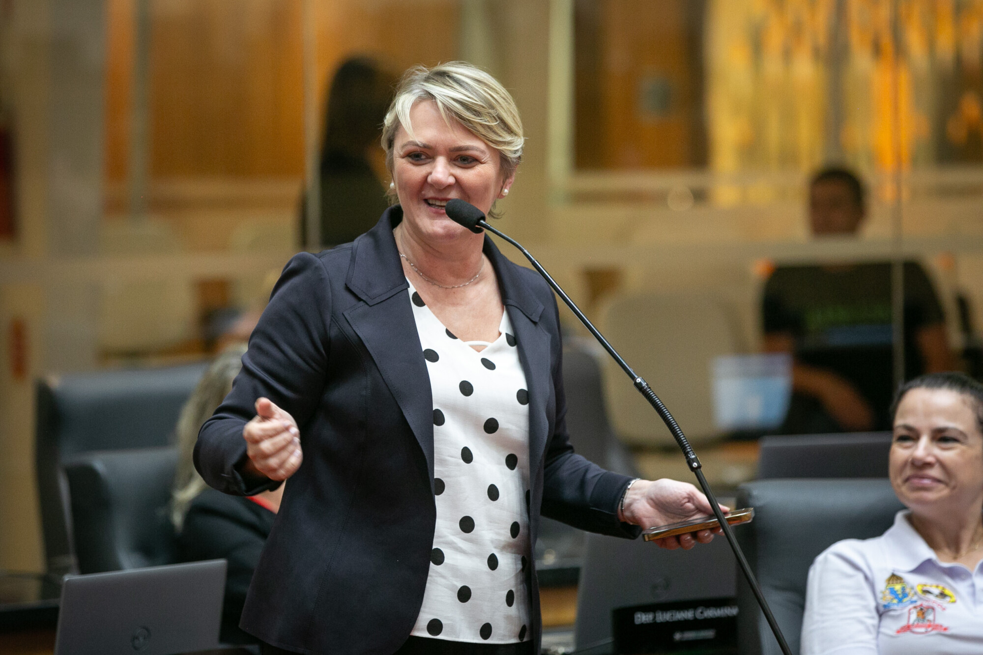 - Deputada Luciane Carminatti (PT)
