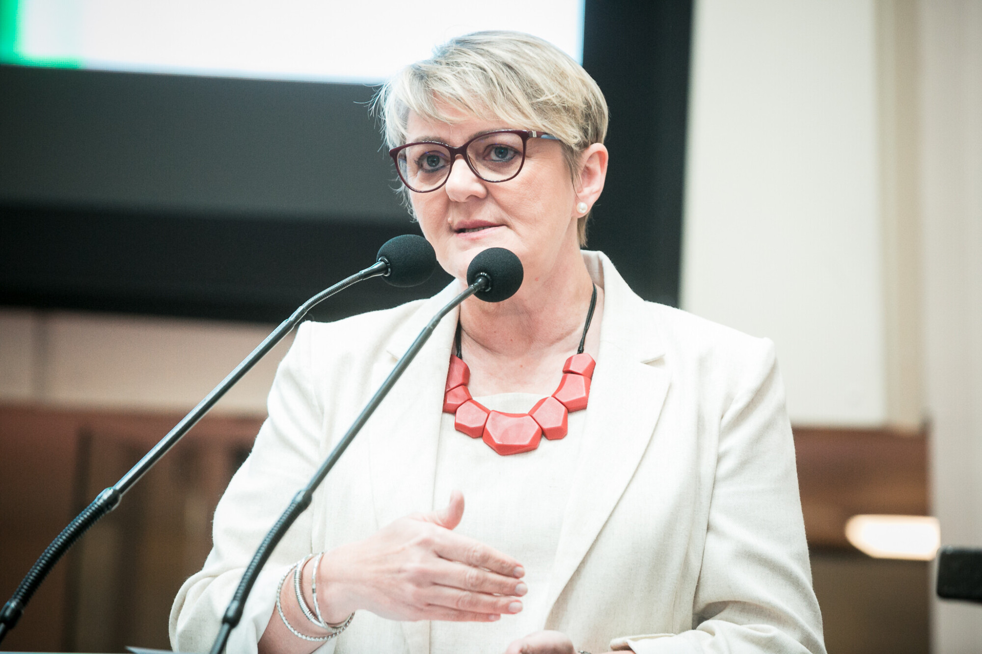 - Deputada Luciane Carminatti (PT)
