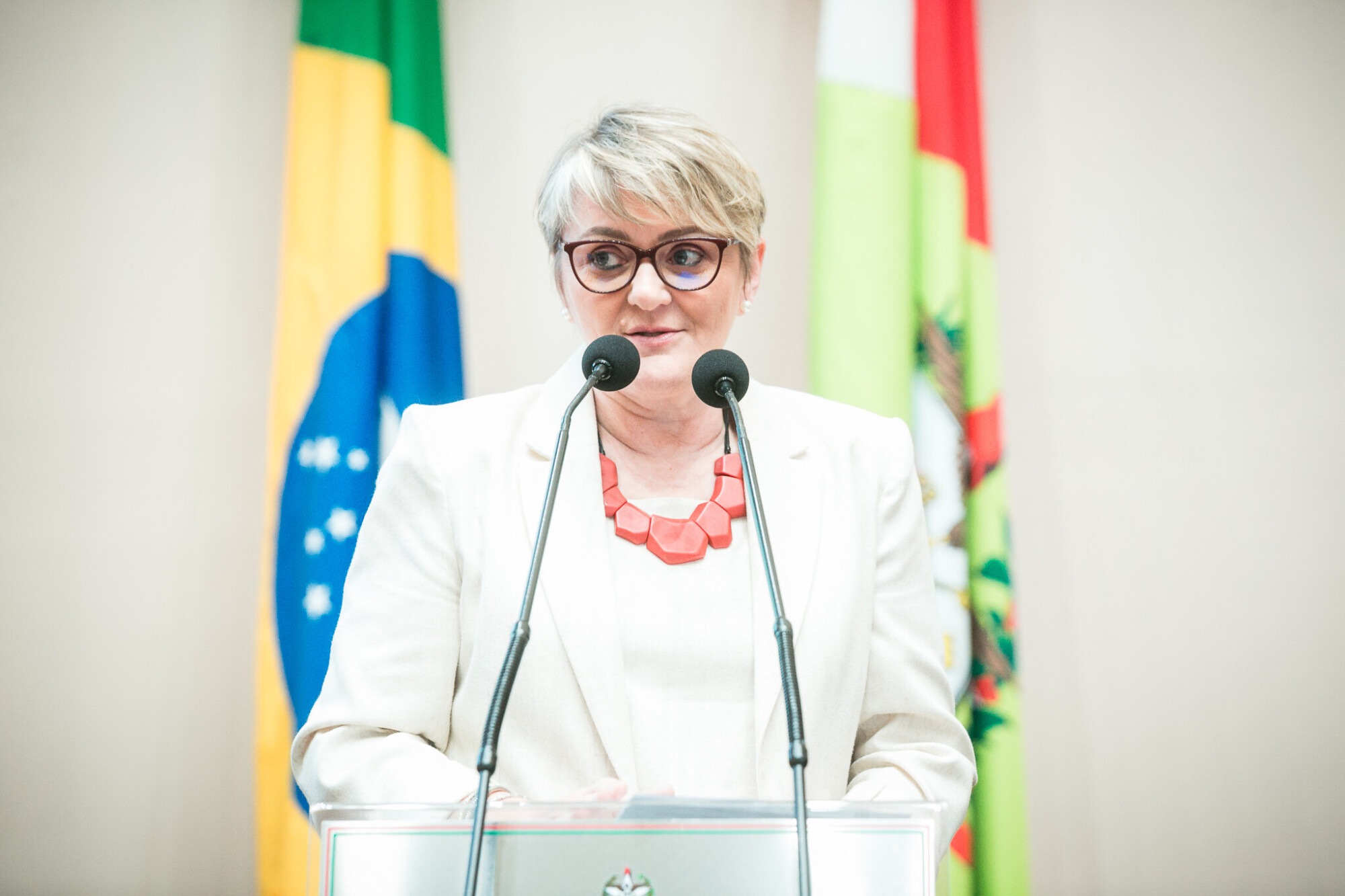 - Deputada Luciane Carminatti (PT)