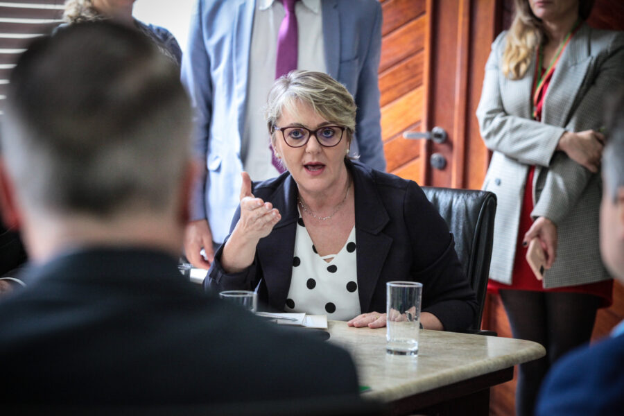 Coordenadora da Bancada do Oeste, deputada Luciane Carminatti (PT).