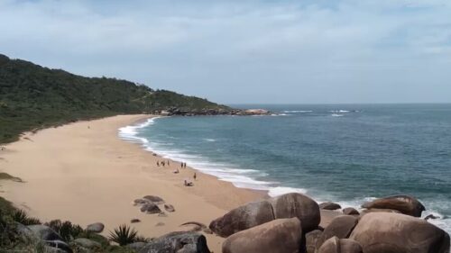 Alesc discute venda das terras na Praia de Taquarinhas