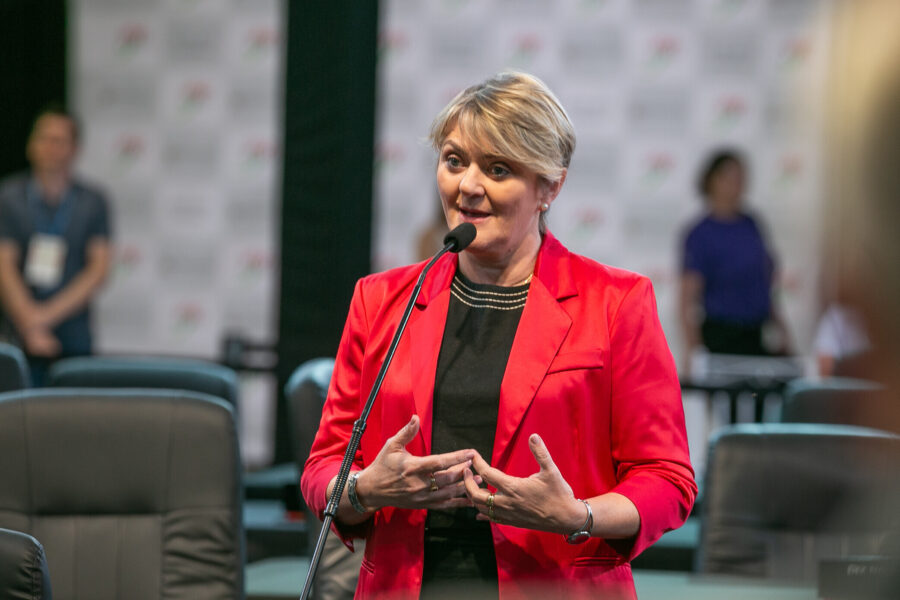 Deputada Luciane Carminatti (PT)