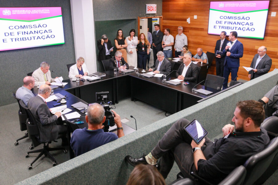 A reunião foi conduzida pela vice-presidente da comissão, deputada Luciane Carminatti (PT).