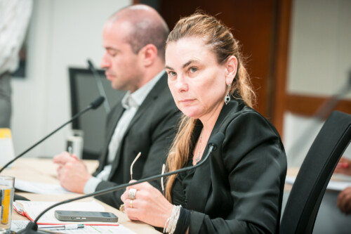 - Deputada Paulinha (Podemos)