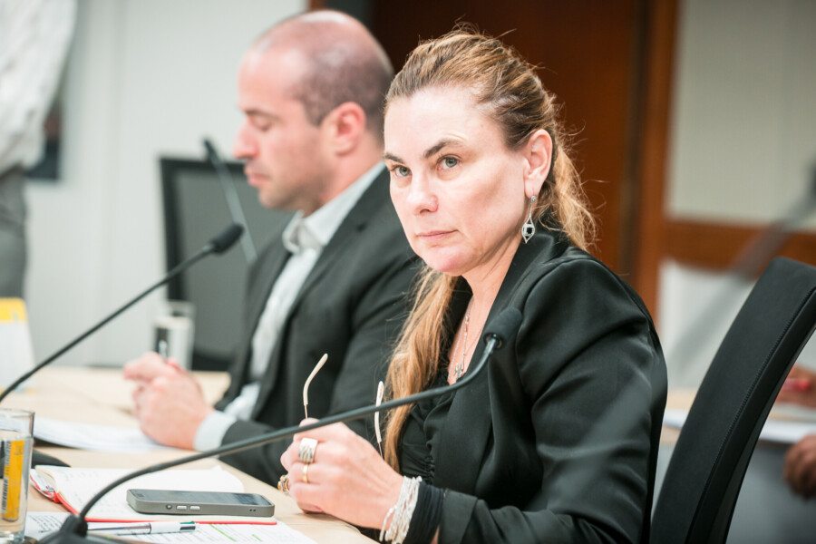 - Deputada Paulinha (Podemos)