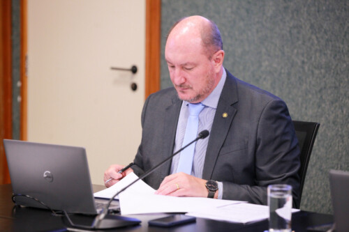 - Deputado Mauro de Nadal (MDB)