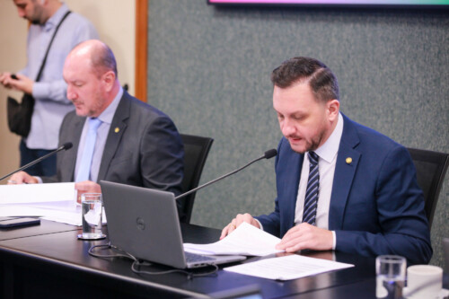 - Deputado Mauro de Nadal (MDB) 	
 - Deputado Pepê Collaço (PP)