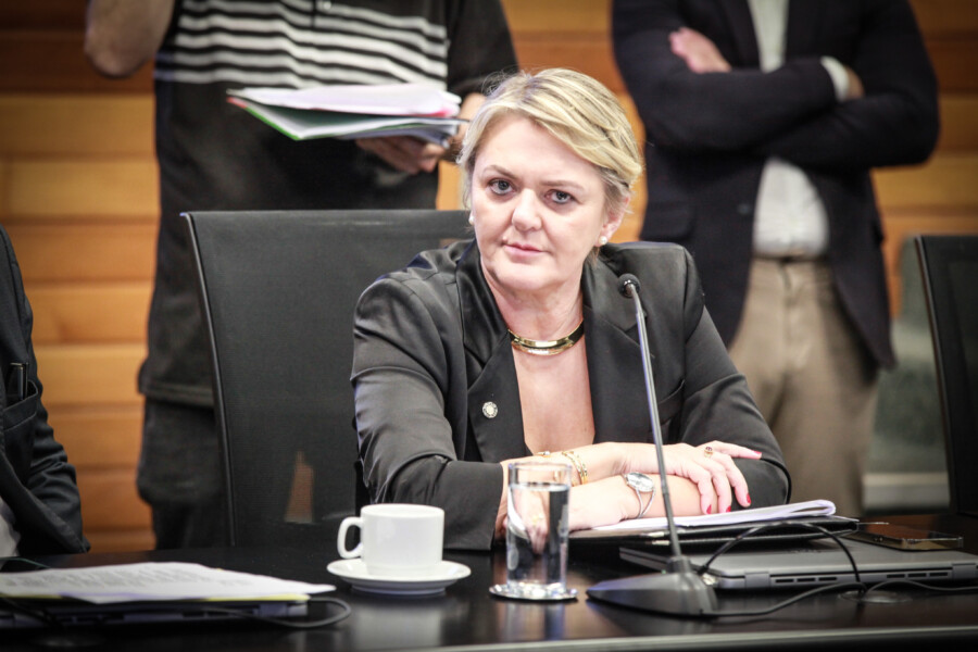 - Deputada Luciane Carminatti (PT)
