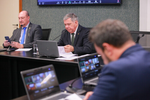 - Deputado Mauro de Nadal (MDB) 	
 - Deputado Mário Motta (PSD)