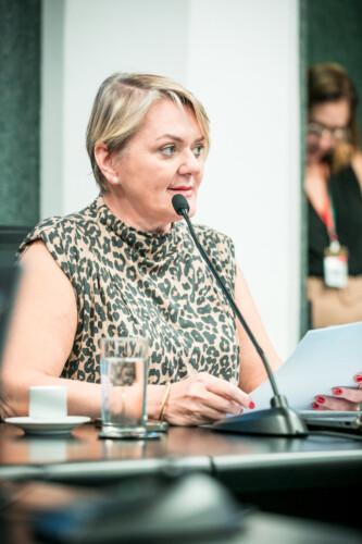 - Deputada Luciane Carminatti (PT)