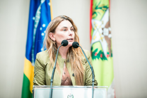 - Deputada Paulinha (Podemos)