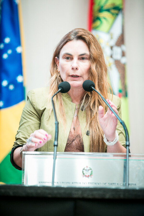 - Deputada Paulinha (Podemos)
