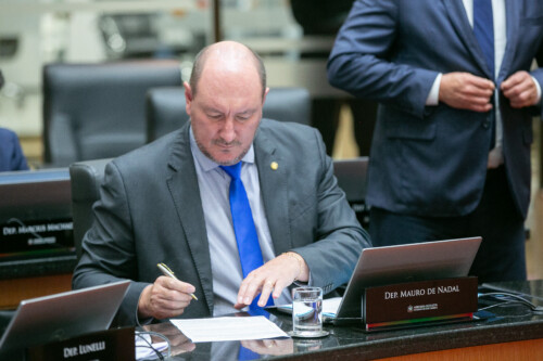 - Deputado Mauro de Nadal (MDB)
