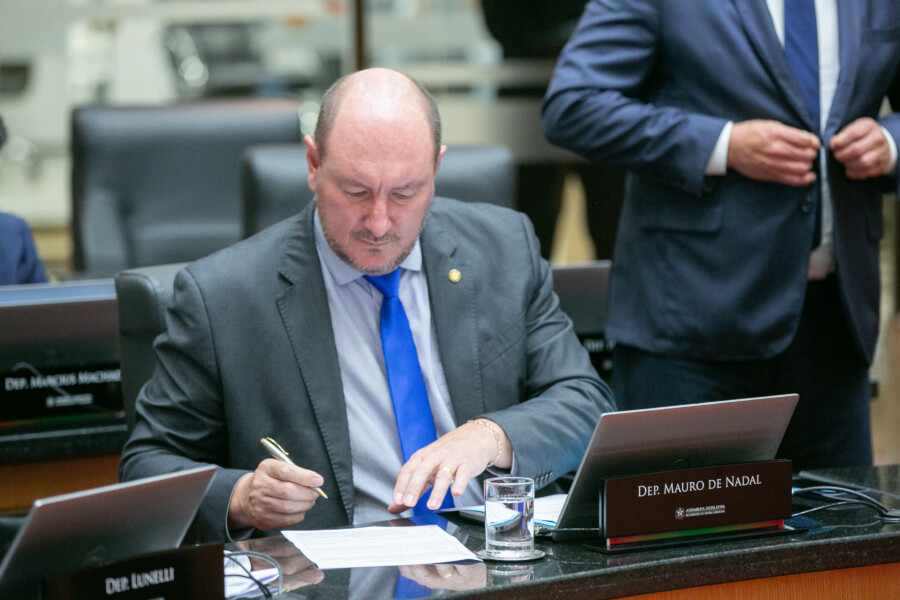 - Deputado Mauro de Nadal (MDB)