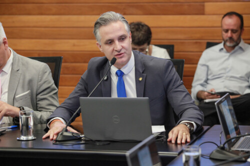 - Deputado Matheus Cadorin (NOVO)