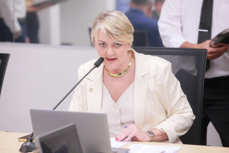 - Deputada Luciane Carminatti (PT)