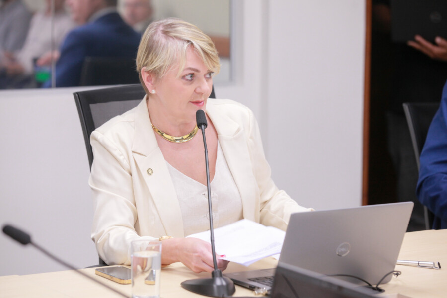 - Deputada Luciane Carminatti (PT)
