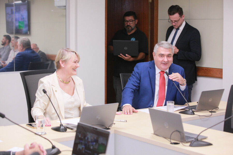 - Deputada Luciane Carminatti (PT) 		
 - Deputado Antídio Lunelli (MDB)