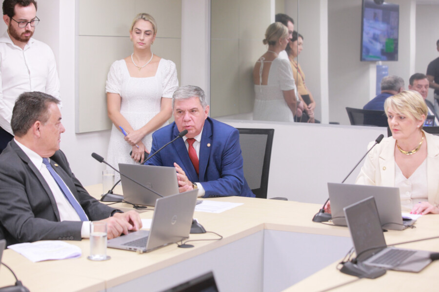 - Deputado Mauricio Peixer (PL)- Deputado Mário Motta (PSD) - Deputada Luciane Carminatti (PT)