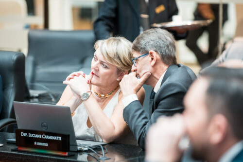 - Deputada Luciane Carminatti (PT)