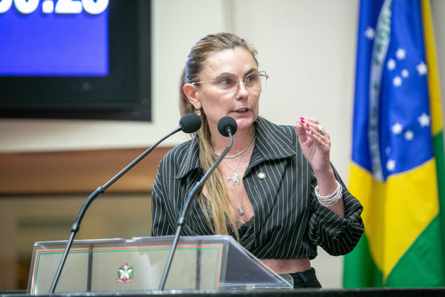 - Deputada Paulinha (Podemos)