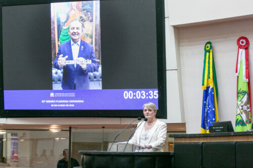 - Deputada Luciane Carminatti (PT)