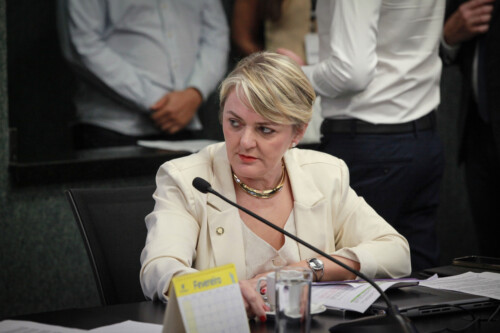 - Deputada Luciane Carminatti (PT)