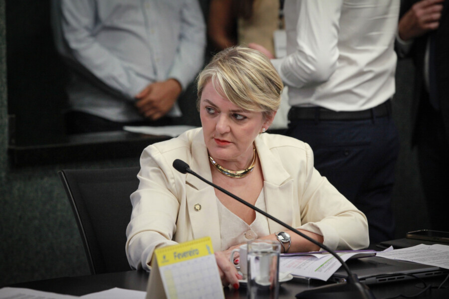 - Deputada Luciane Carminatti (PT)
