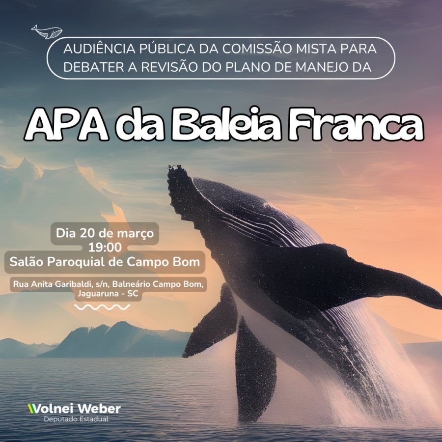 Comissão Mista realizará audiência pública sobre revisão do Plano de Manejo da APA da Baleia Franca
