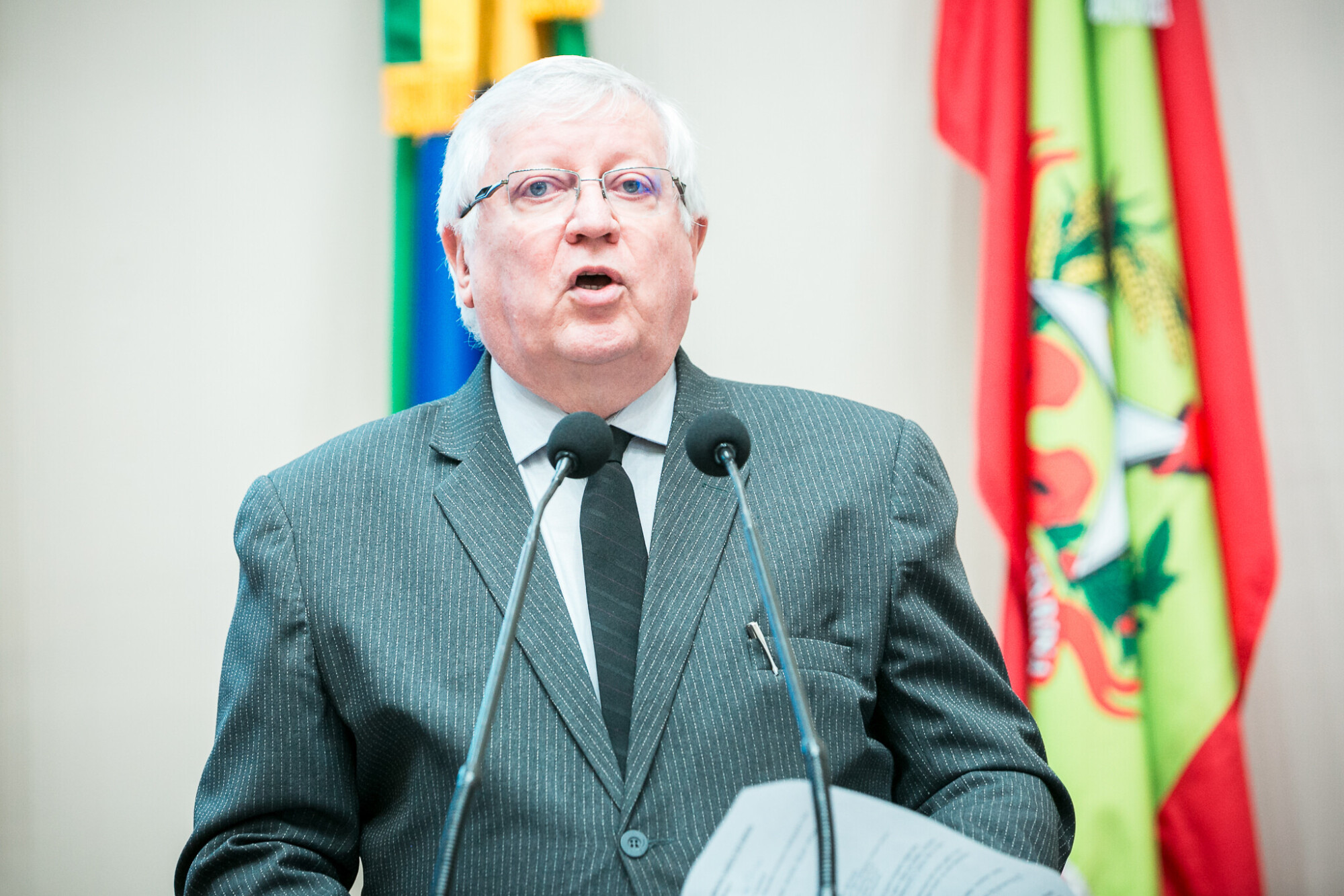 - Francisco Essert - Presidente do Conselho Diretor da GERAR