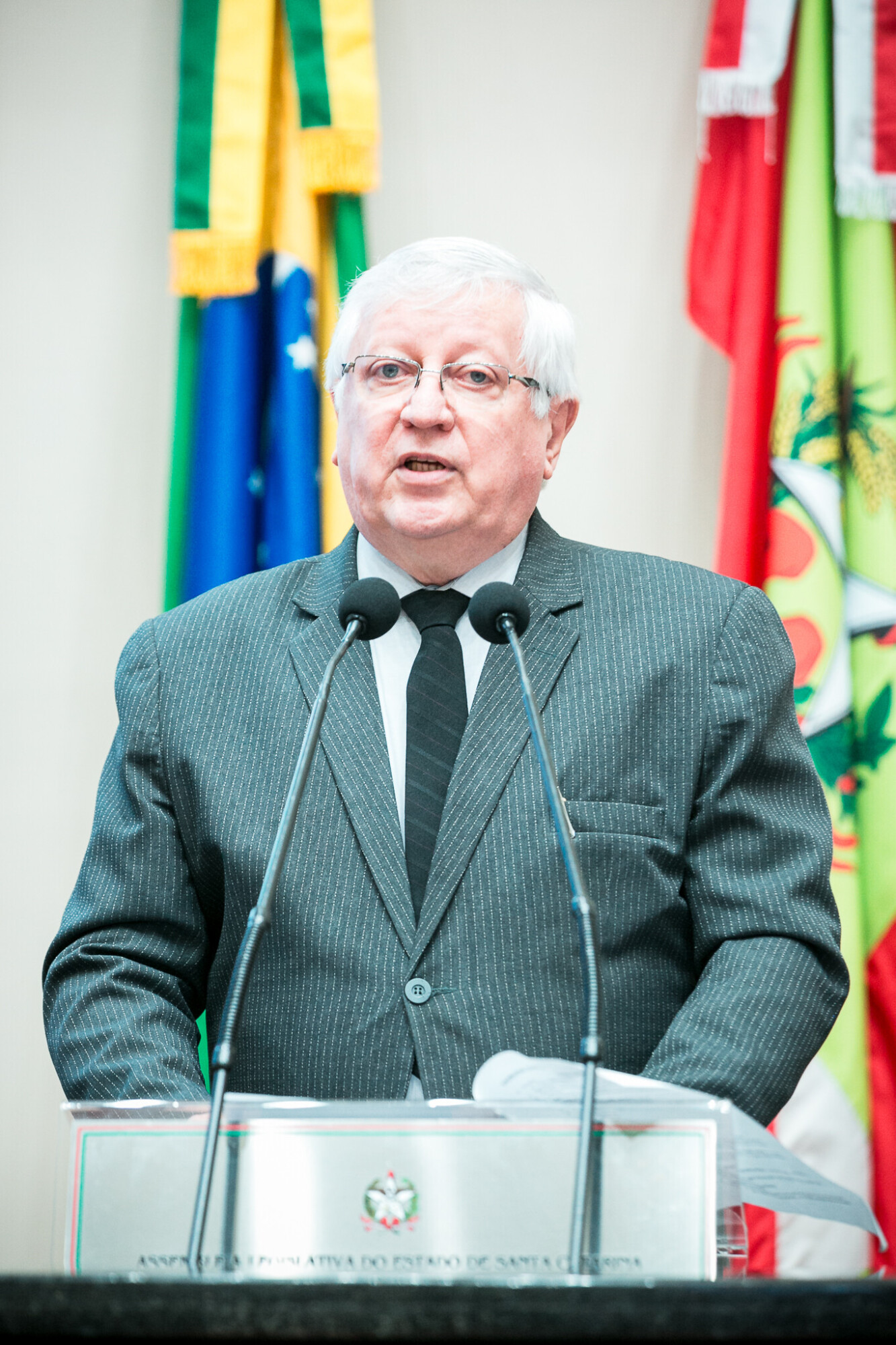 - Francisco Essert - Presidente do Conselho Diretor da GERAR