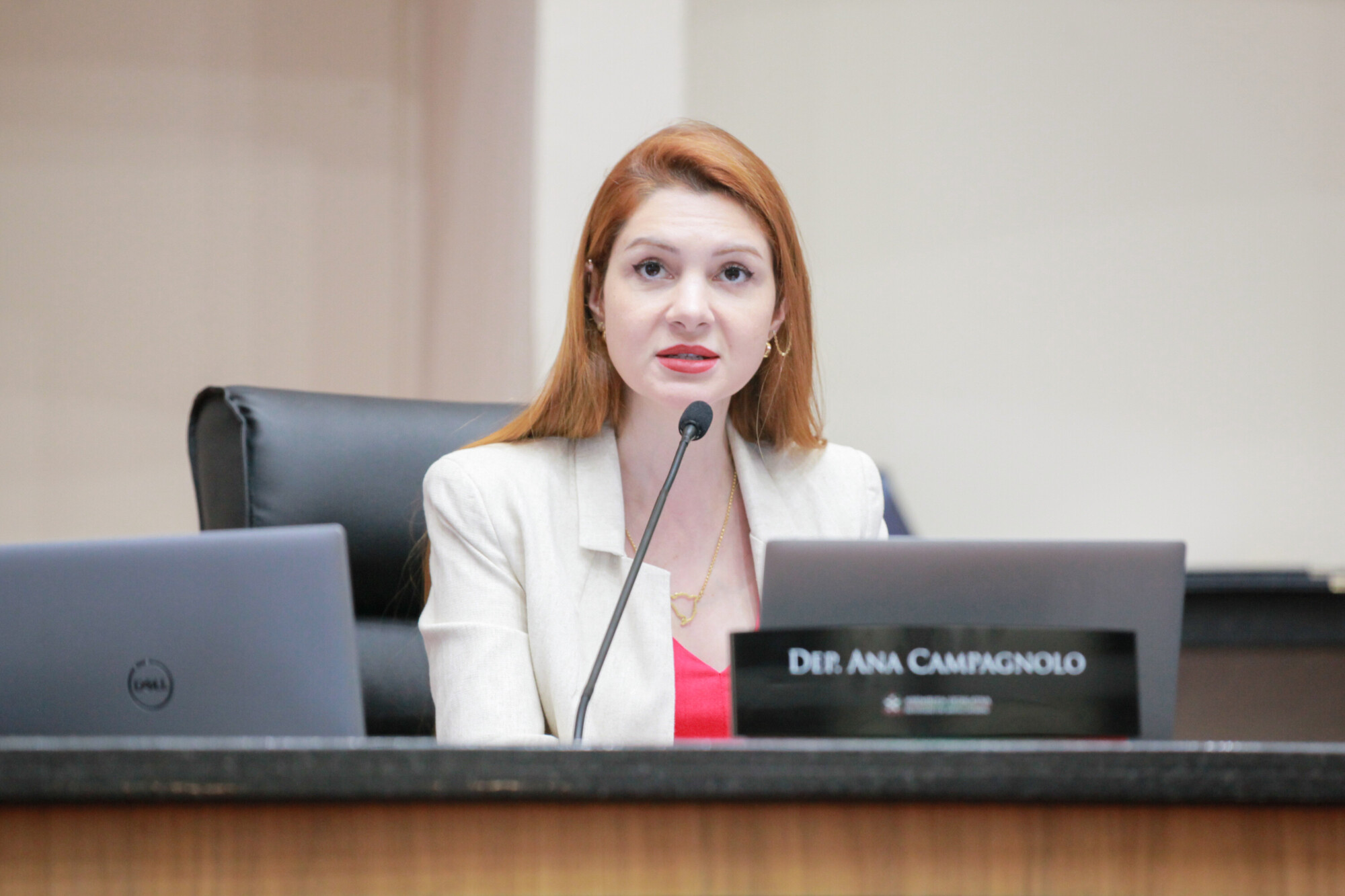 - Deputada Ana Campagnolo (PL)