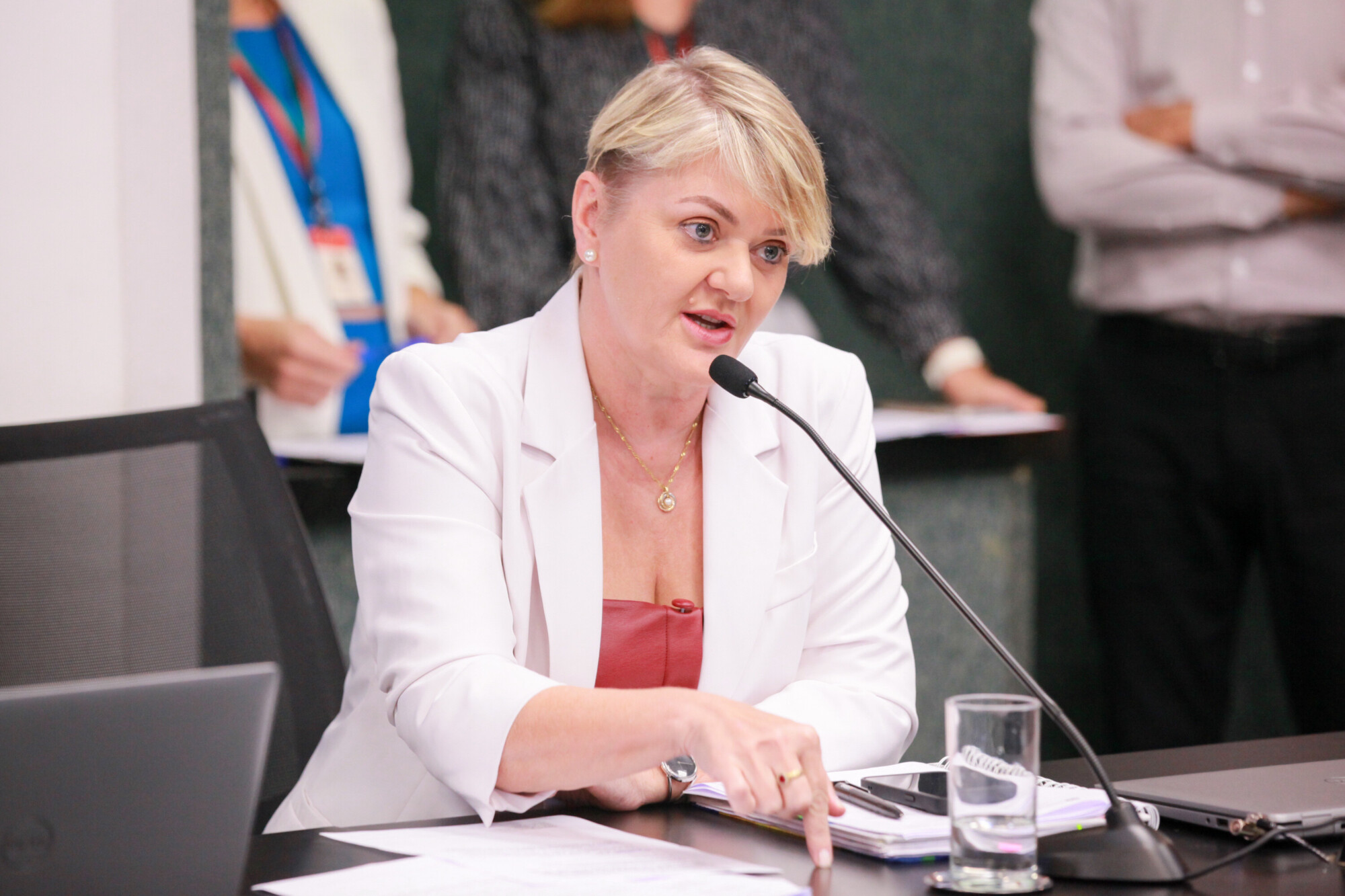 - Deputada Luciane Carminatti (PT)