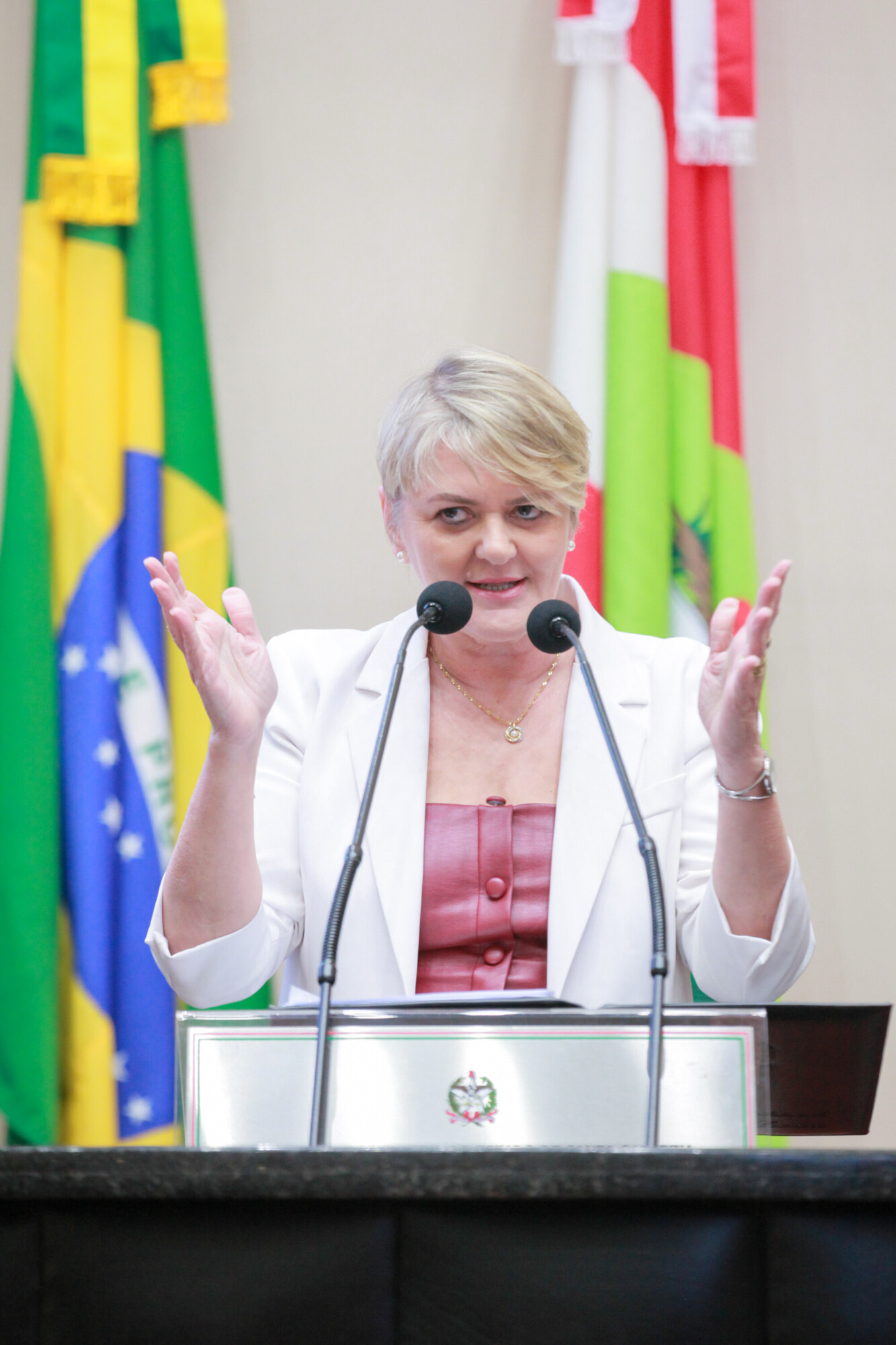 - Deputada Luciane Carminatti (PT)