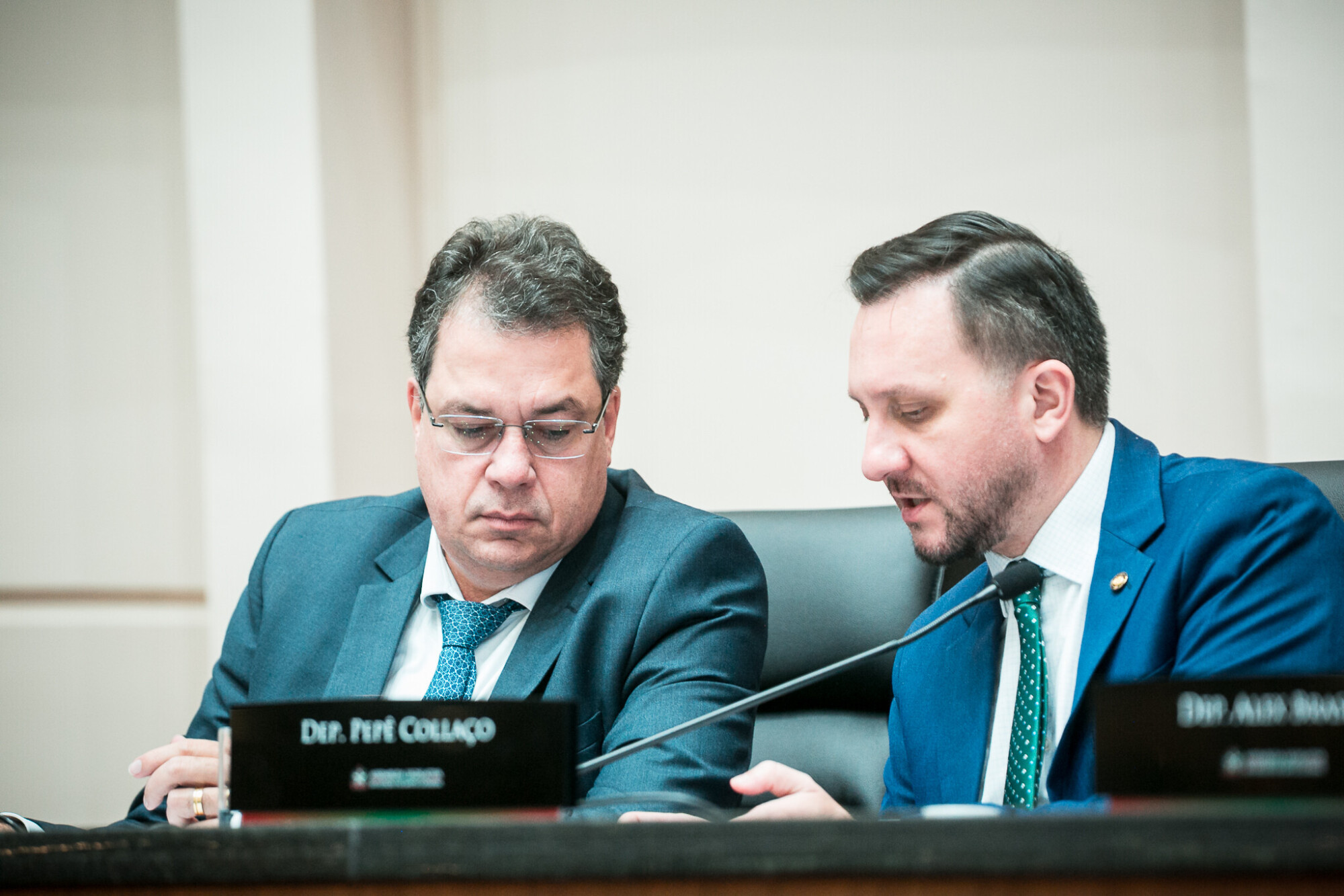 - Deputado Rodrigo Minotto (PDT) 	
 - Deputado Pepê Collaço (PP)