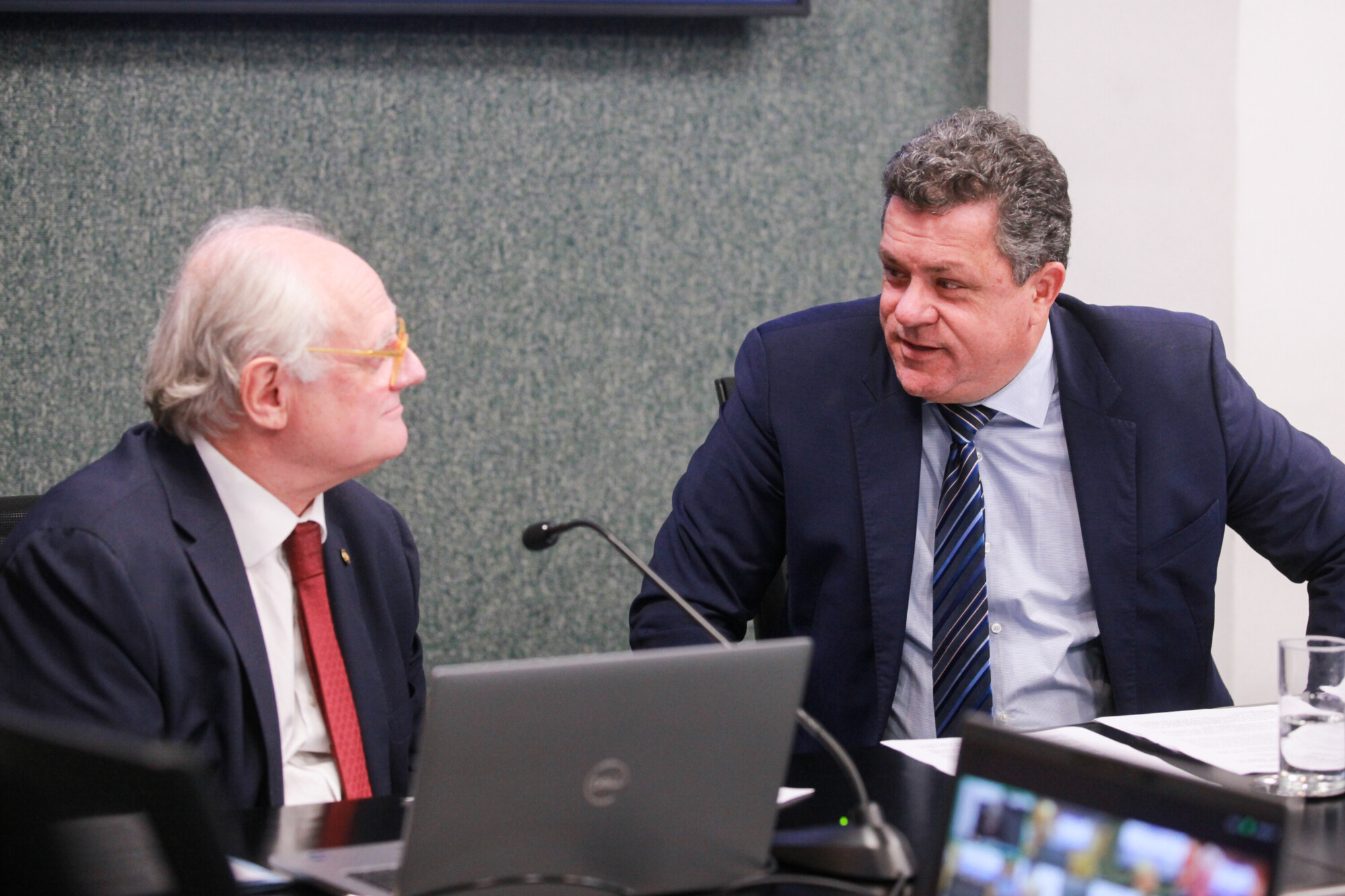- Deputado Dr. Vicente Caropreso (PSDB) 
	 - Deputado Ivan Naatz (PL)