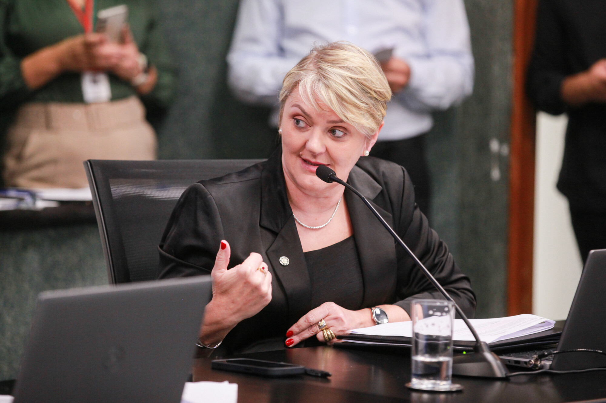 - Deputada Luciane Carminatti (PT)