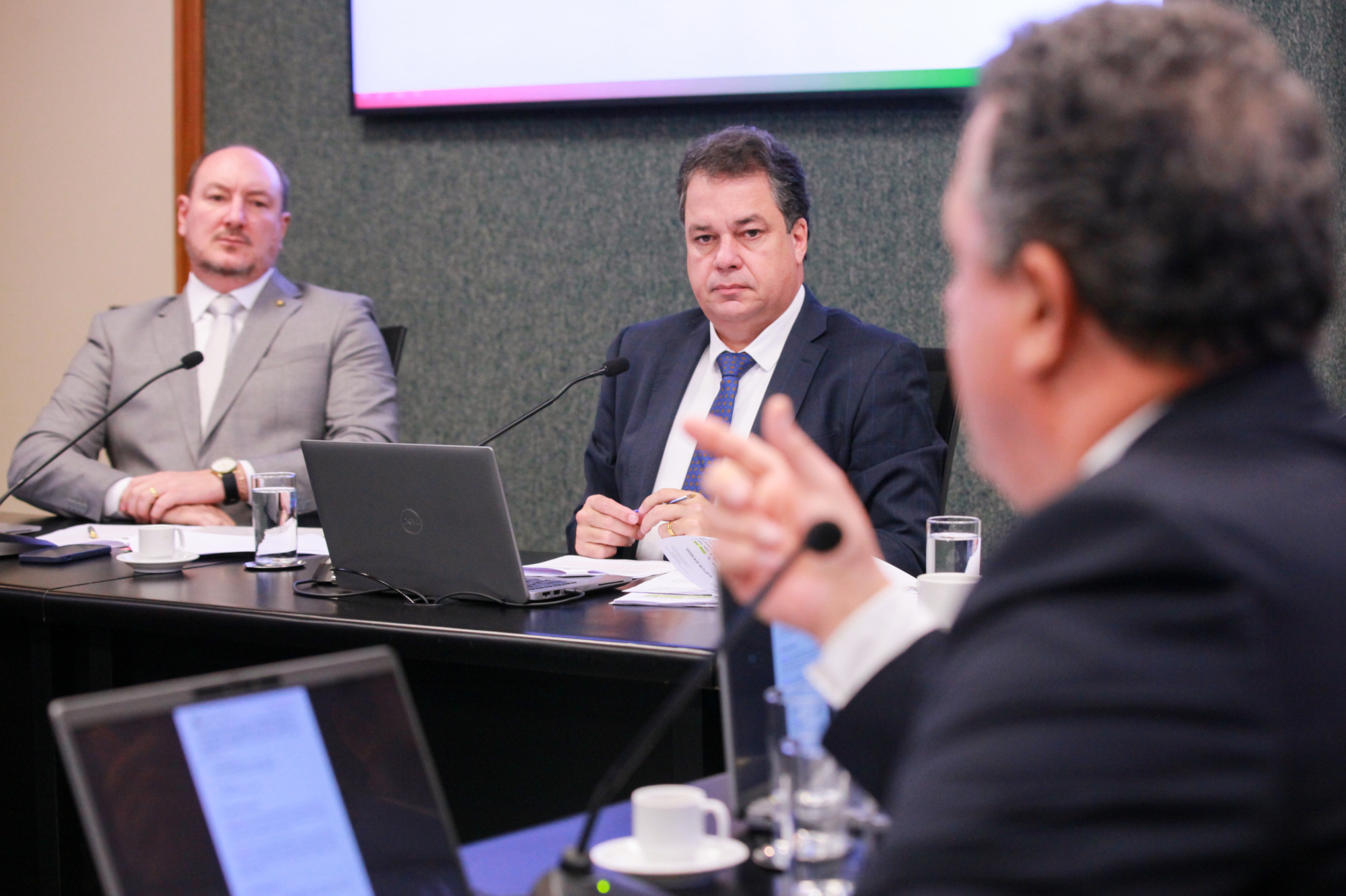 - Deputado Mauro de Nadal (MDB) 	
 - Deputado Rodrigo Minotto (PDT)