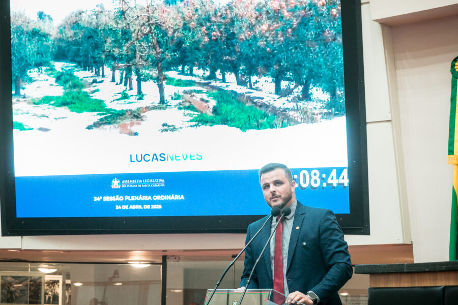 Deputado Lucas Neves (Podemos).