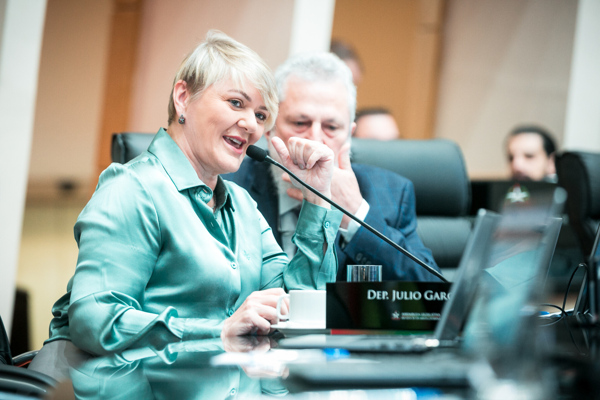 - Deputada Luciane Carminatti (PT) 		
 - Deputado Padre Pedro Baldissera (PT)