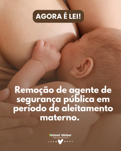 Nova lei garante transferência de agentes de segurança pública durante aleitamento materno
