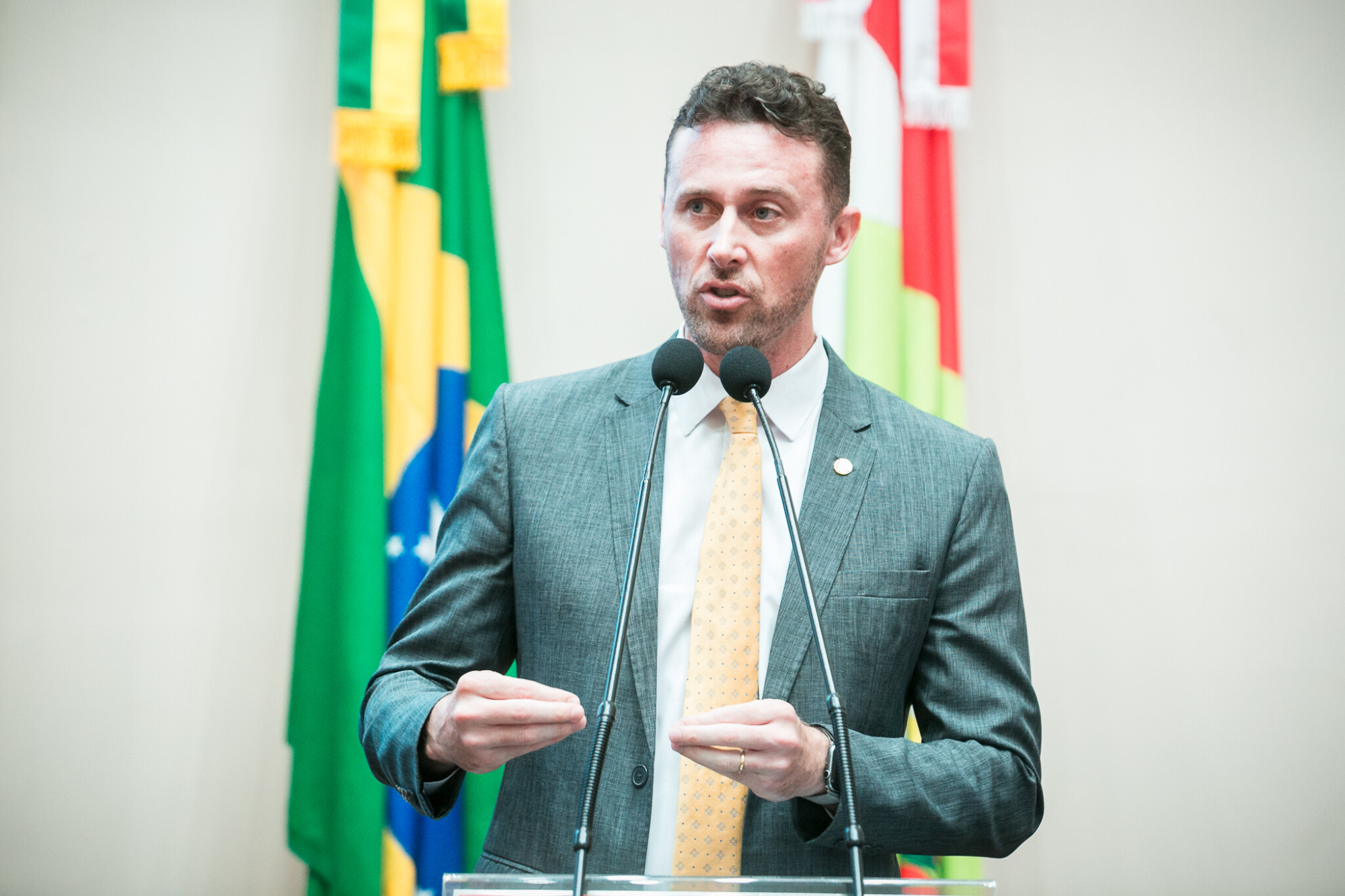 - Deputado Fernando Krelling (MDB)