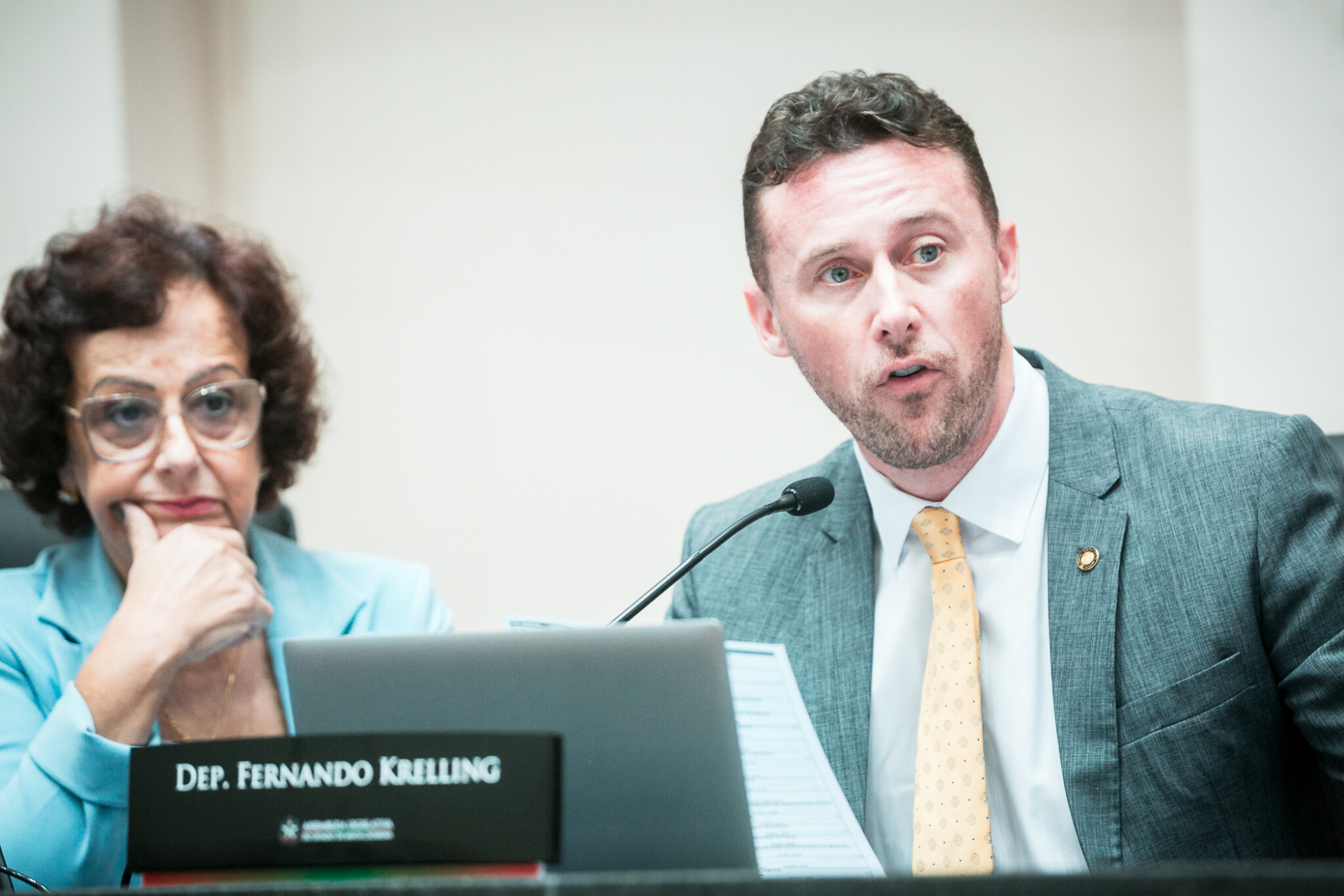 - Deputada Dirce Heiderscheidt (MDB)- Deputado Fernando Krelling (MDB)
