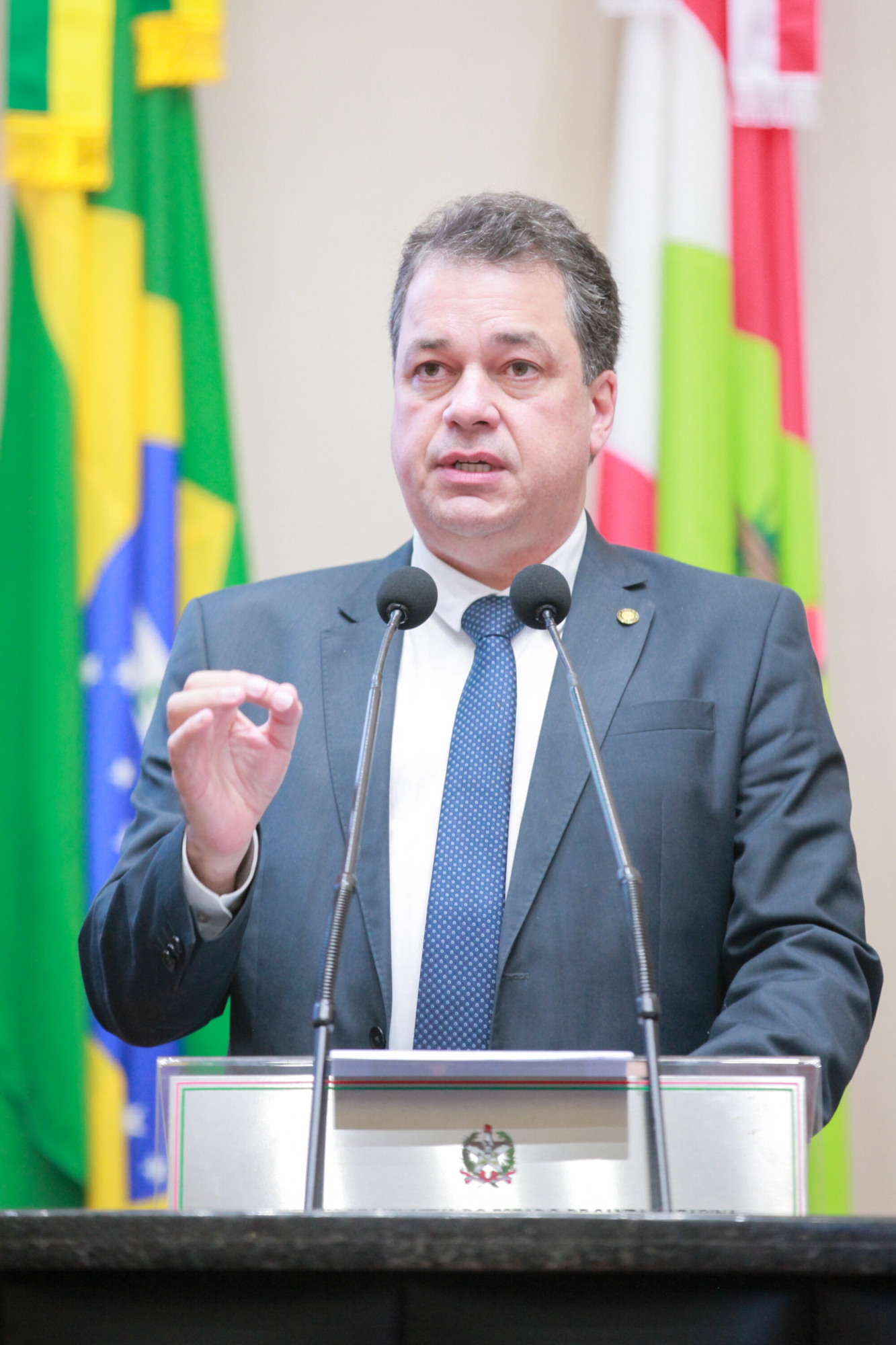 - Deputado Rodrigo Minotto (PDT)