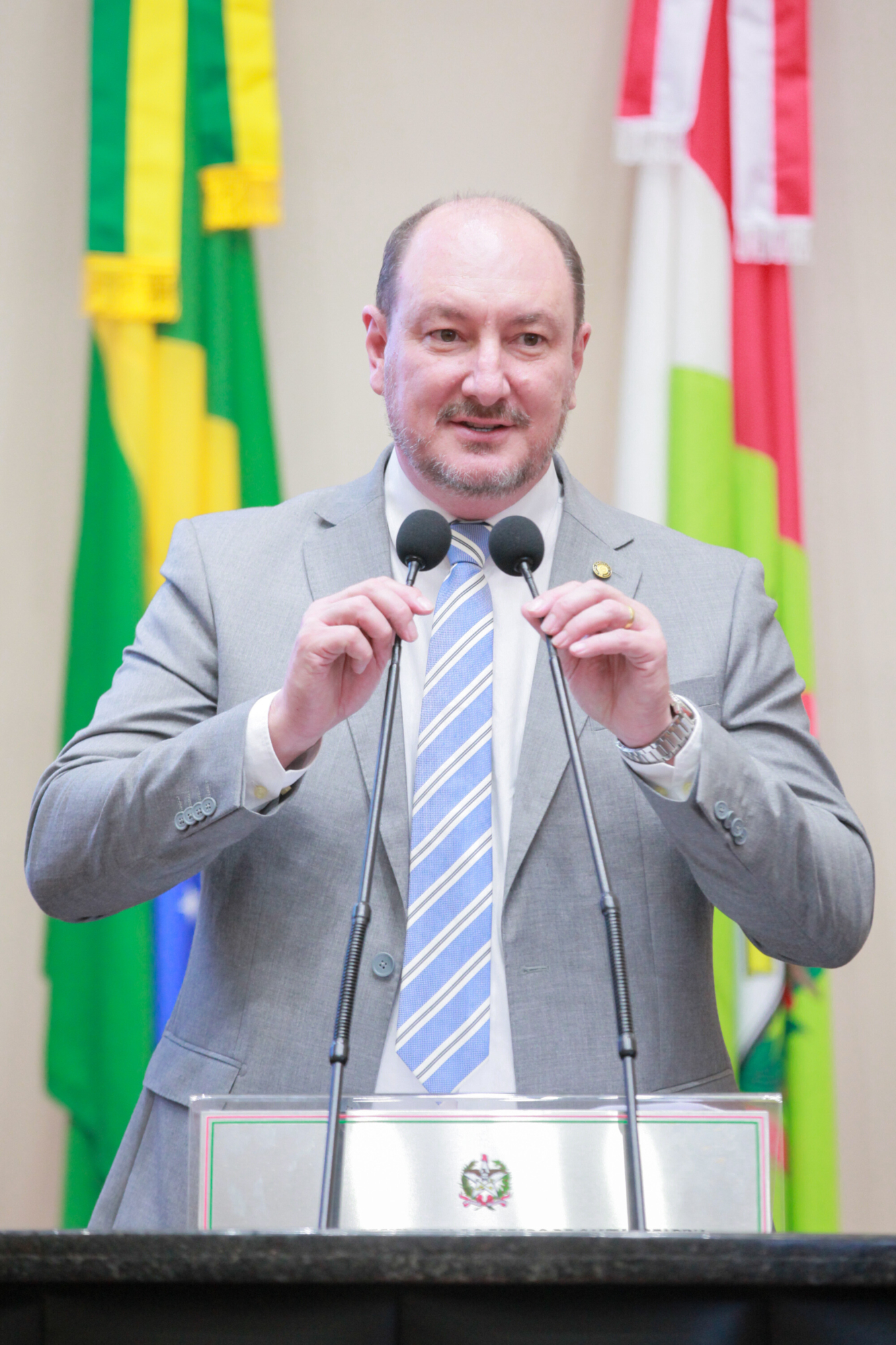 - Deputado Mauro de Nadal (MDB)