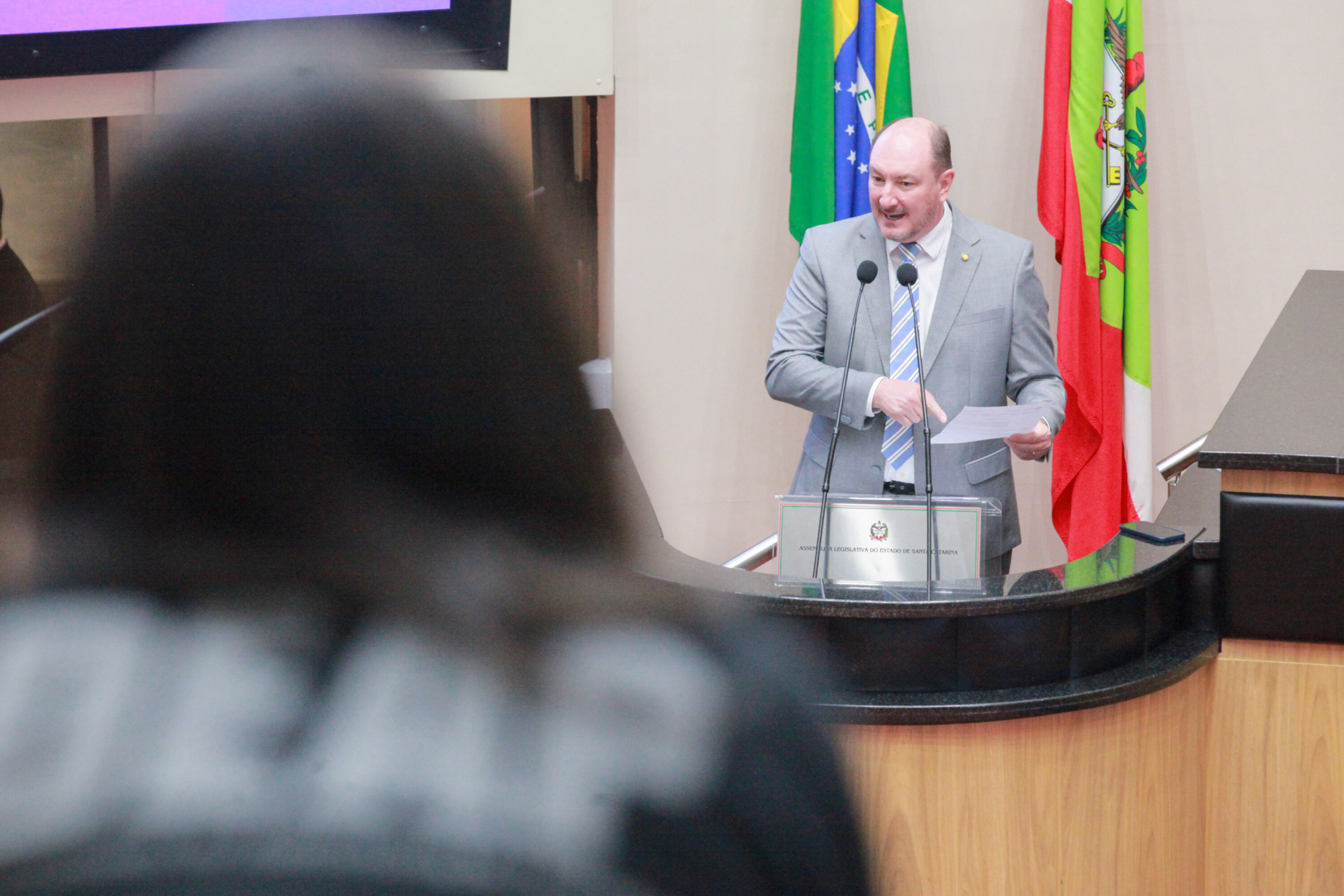 - Deputado Mauro de Nadal (MDB)