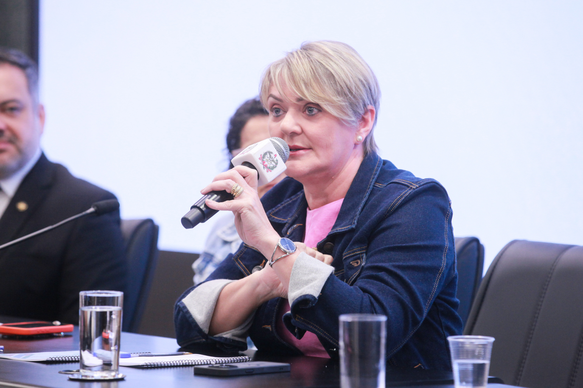 - Deputada Luciane Carminatti (PT)